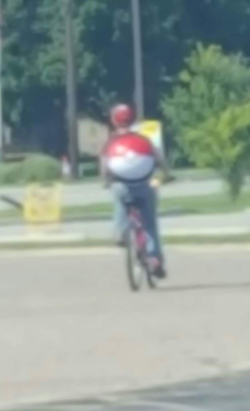 Here we see a loyal Pokemon Go CIA drone hard at work.