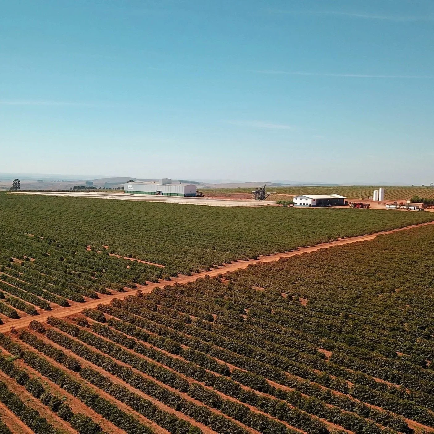DJI_0359.jpg
