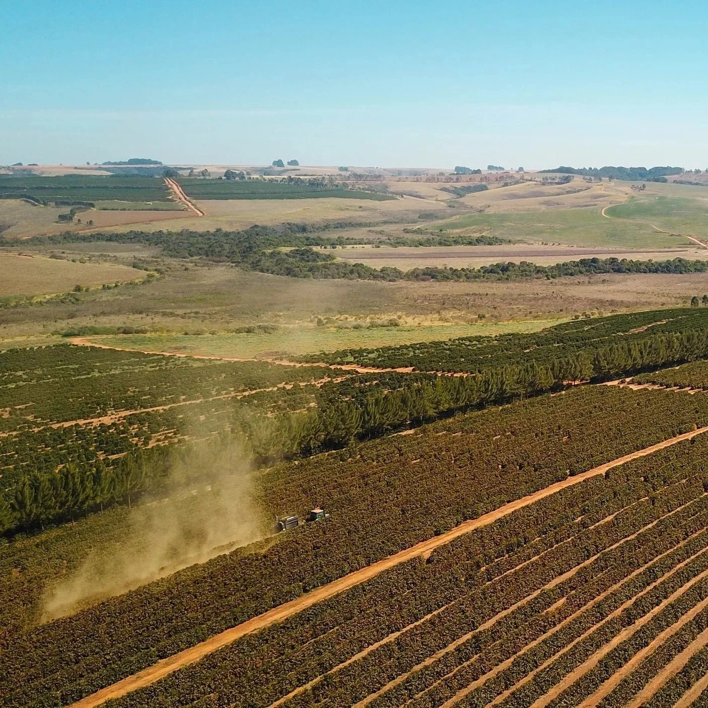 DJI_0377.jpg