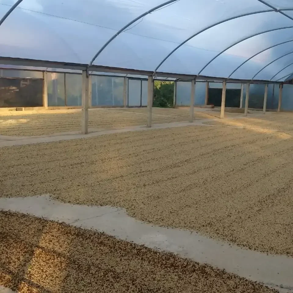 Fe-Esperanca-Farm-5.webp