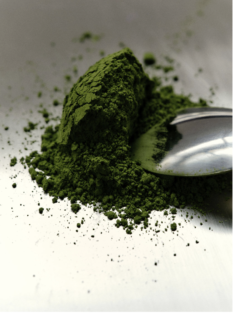 JAPAN, PREMIUM PURE MATCHA
