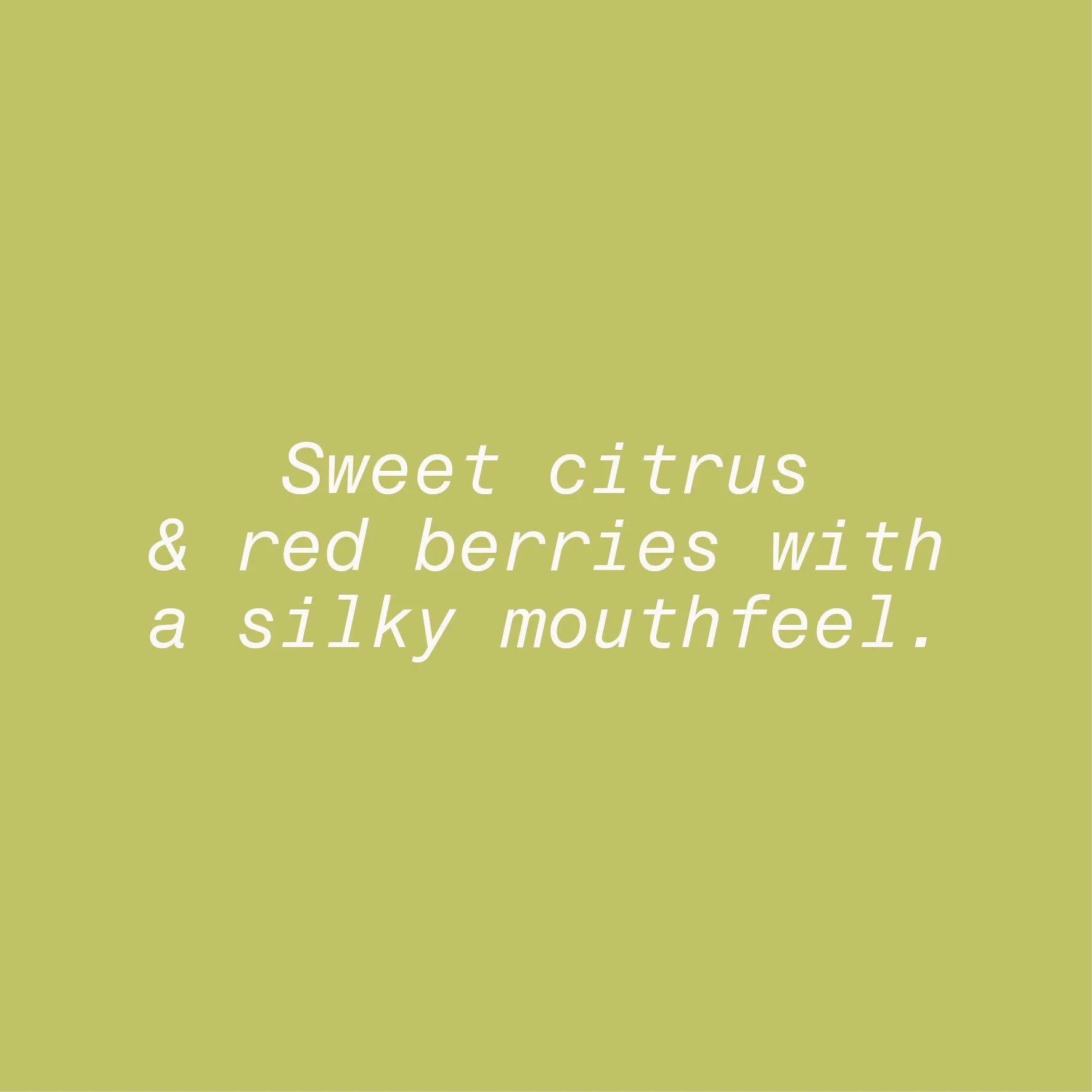 Kenya Mwendi Tasting Notes 2026.jpg