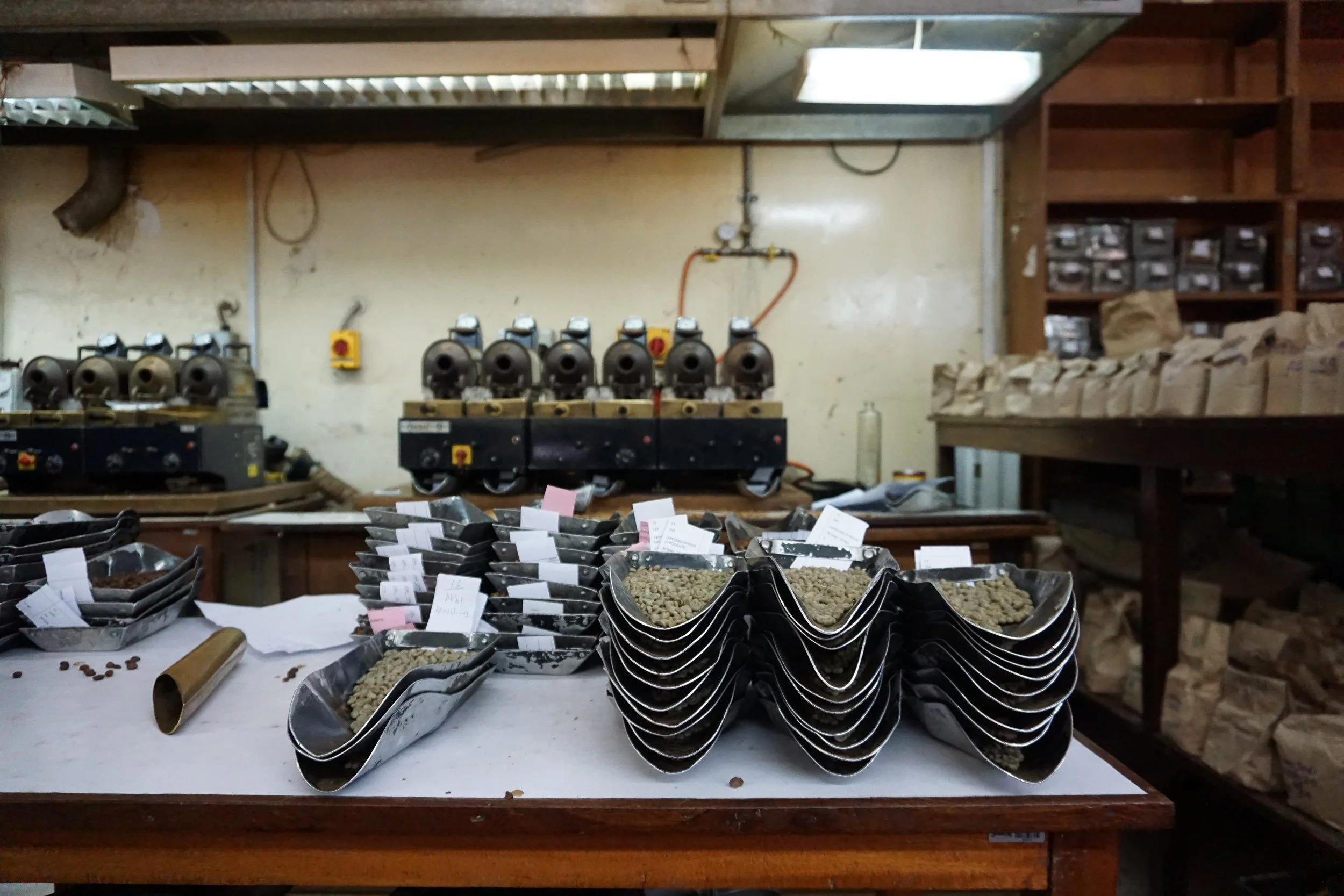 Cafe_Imports_Kenya_Microlot-2022-05-03-033035 (1).jpg