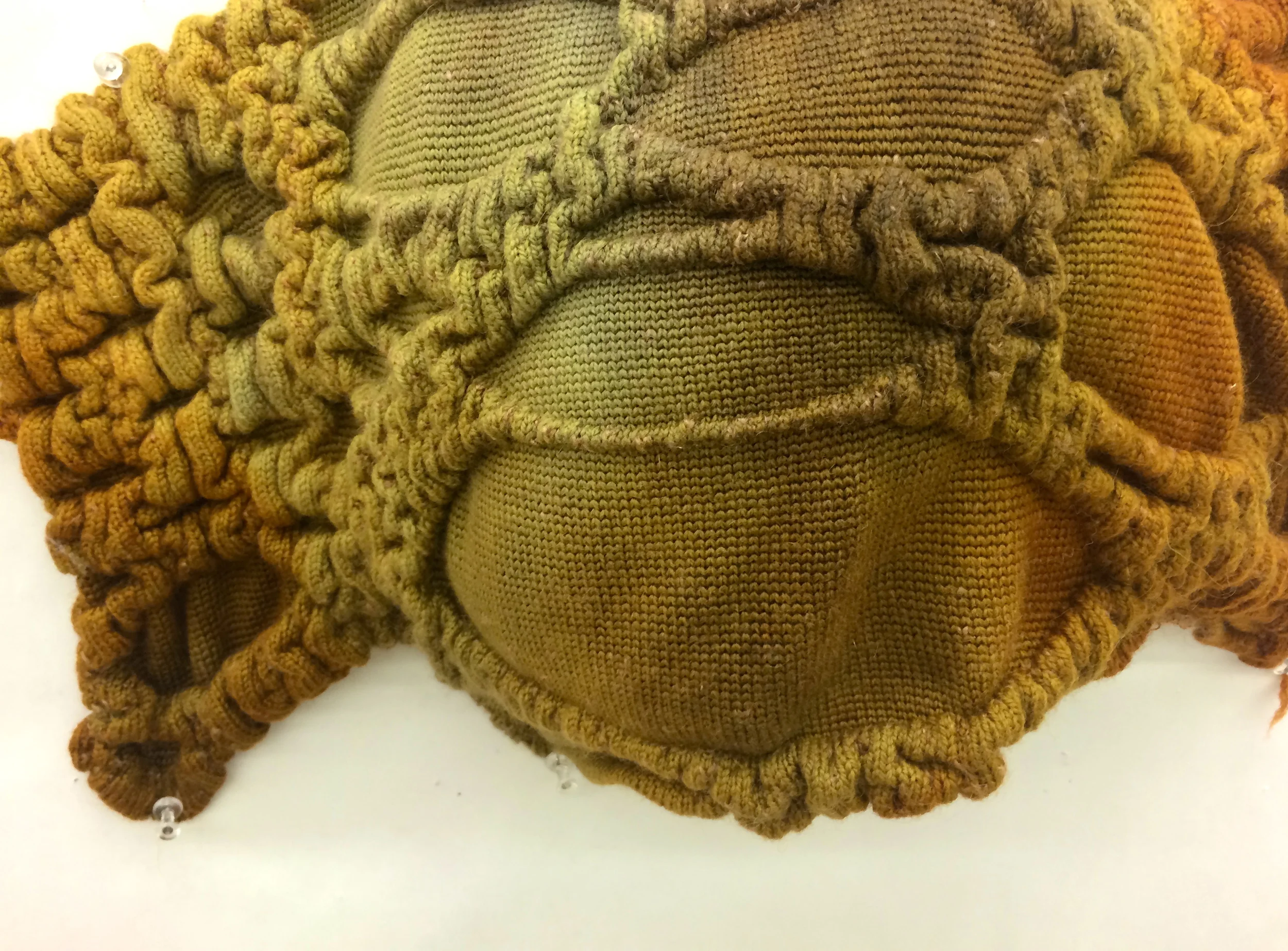 7stomach sample 7.jpg