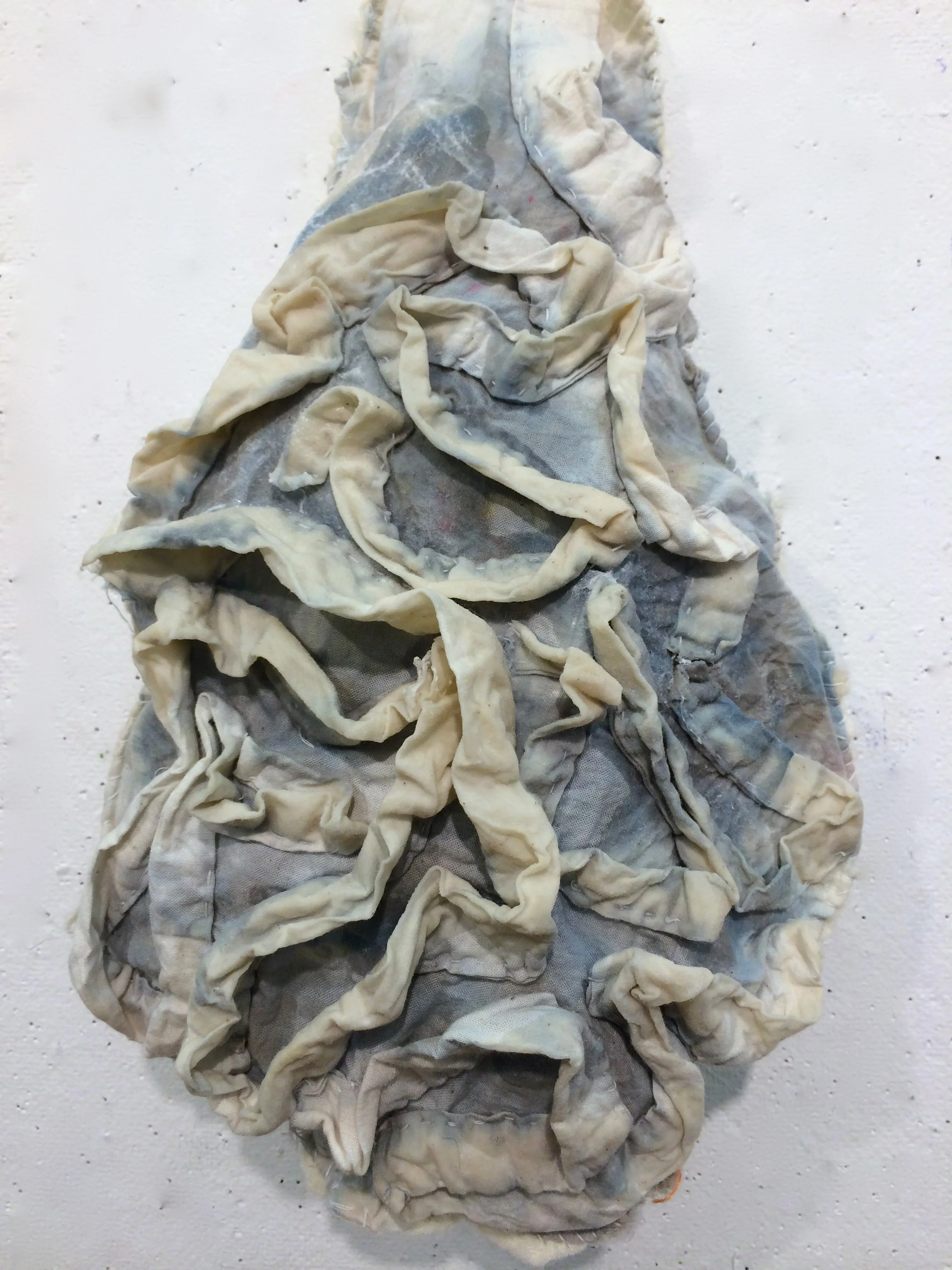 8stomach sample.jpg