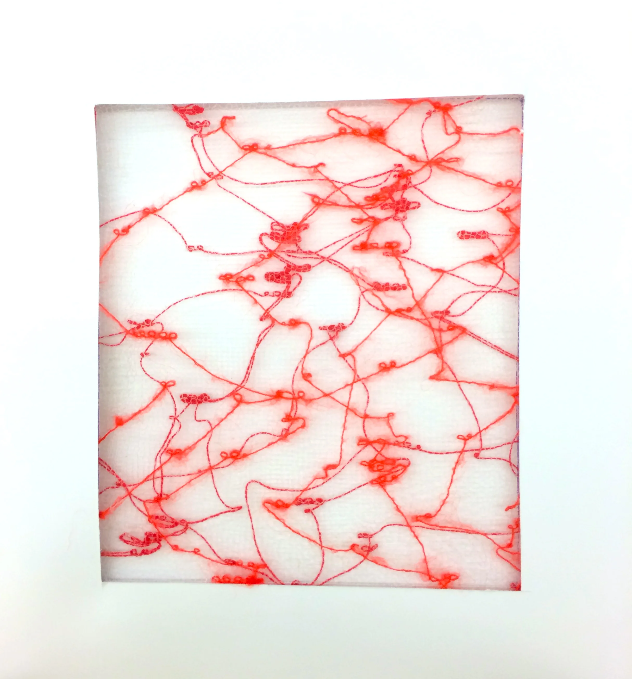 Specimens blood circulation.jpg