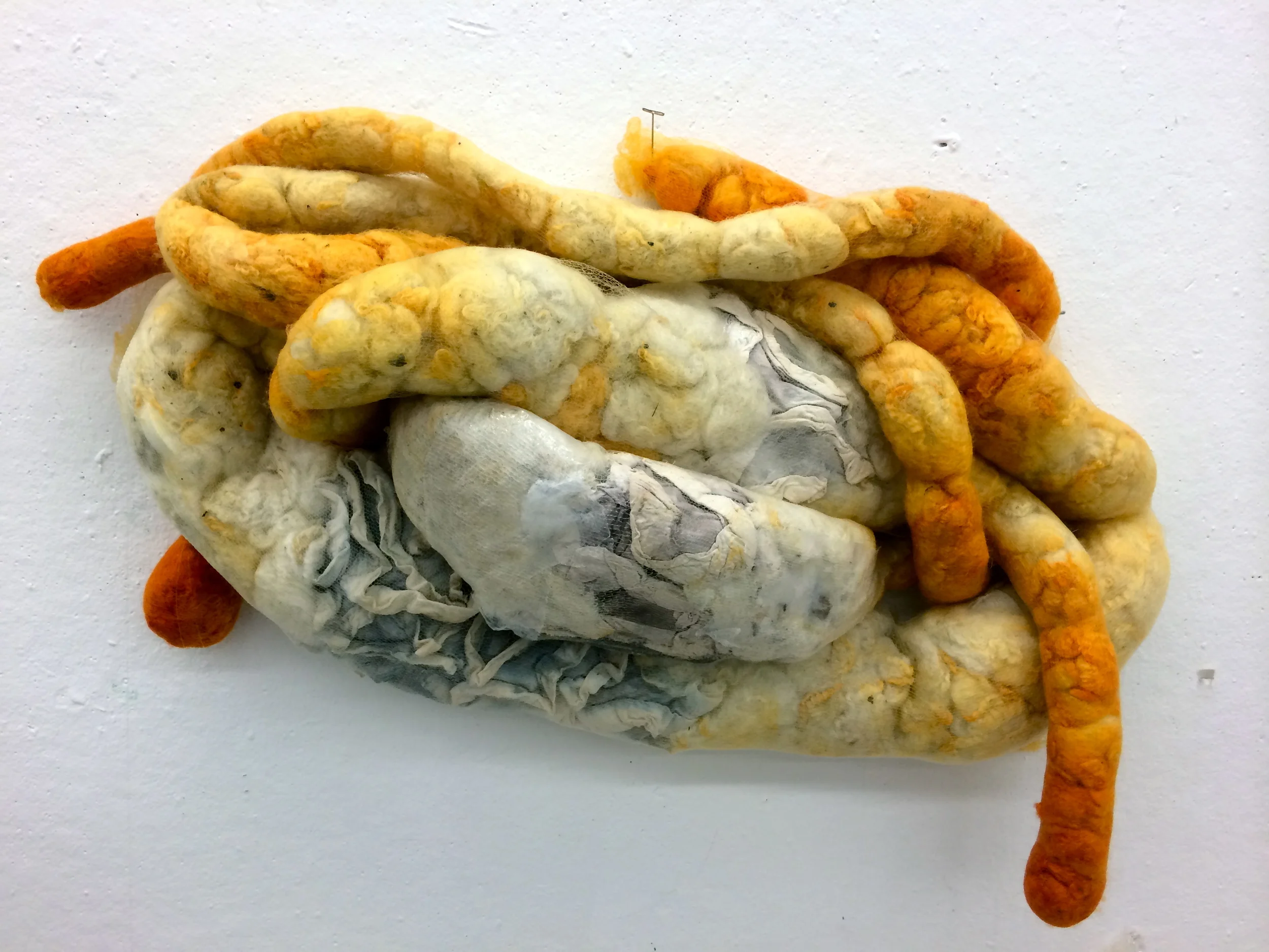 stomach in progress.JPG