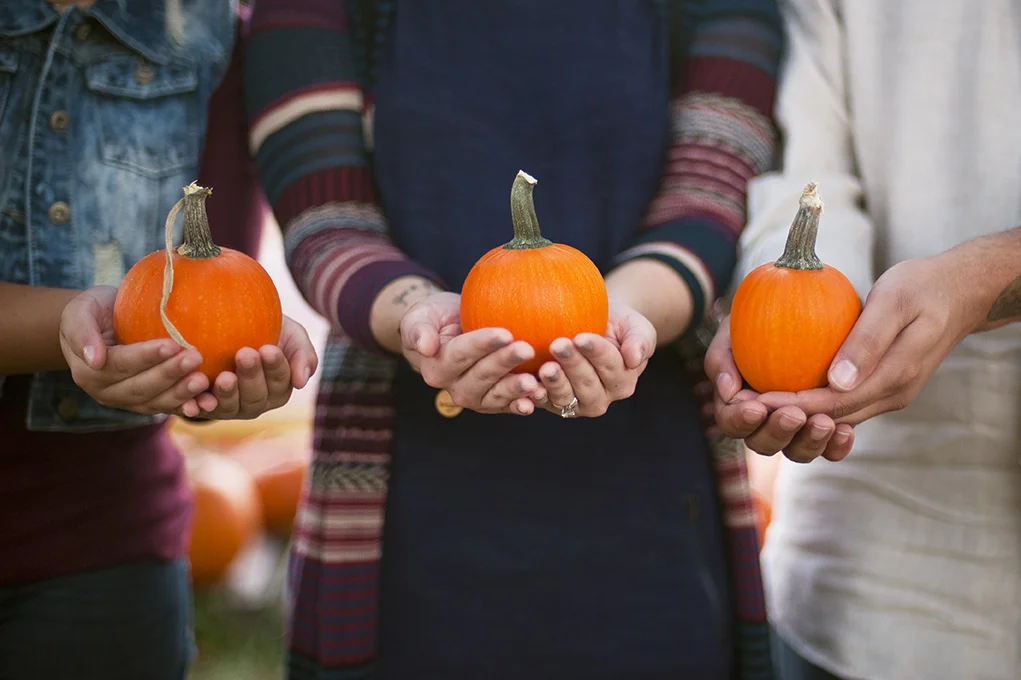 pumpkins.jpg