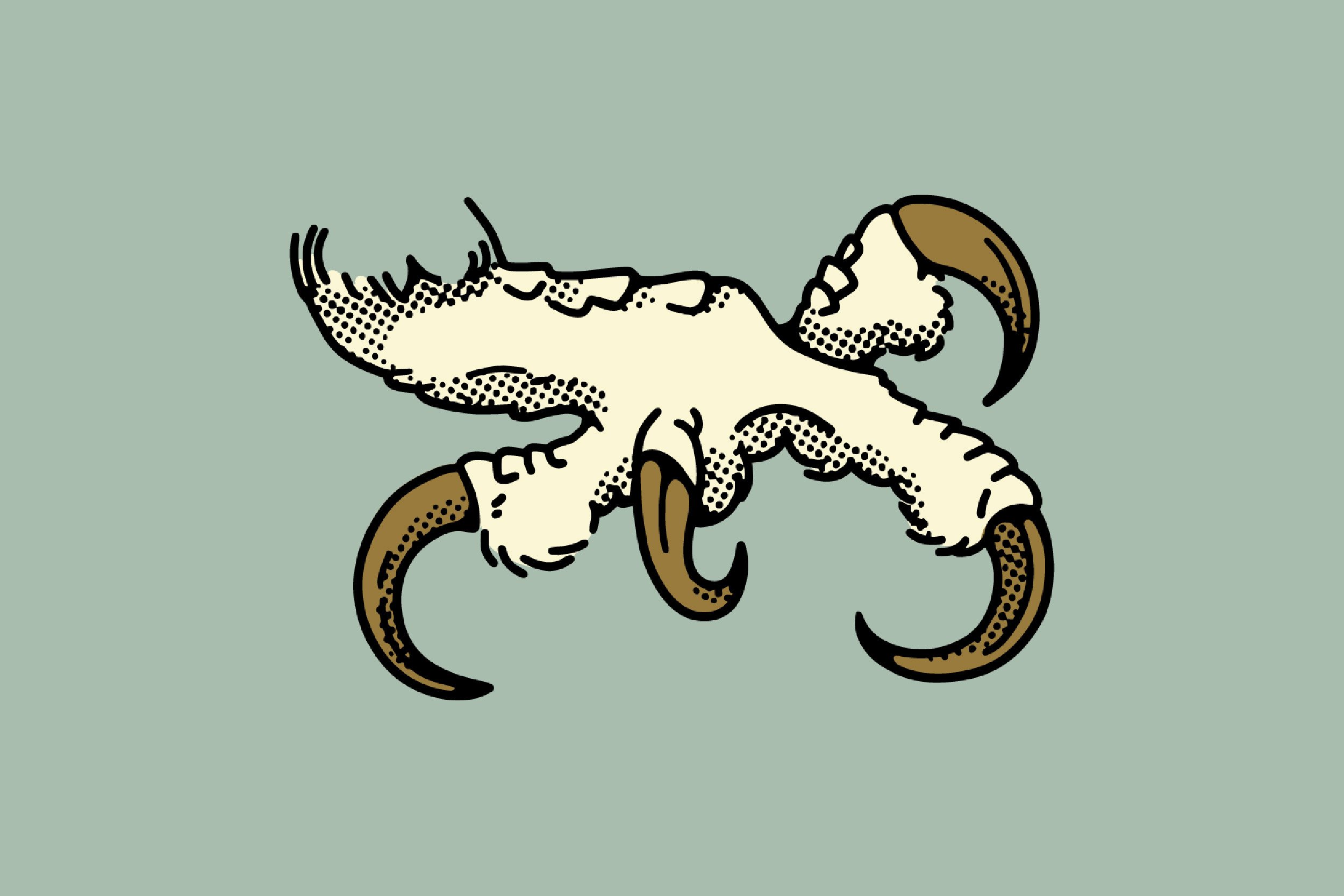 Porfolio_Heros-17.jpg