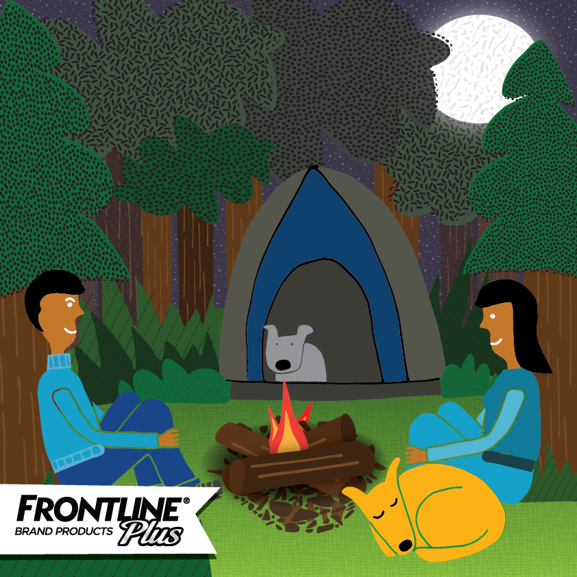 Frontline_camping-01.png