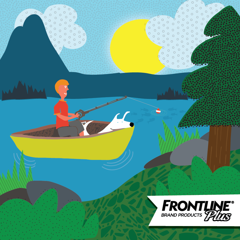 Frontline_lake-01.png