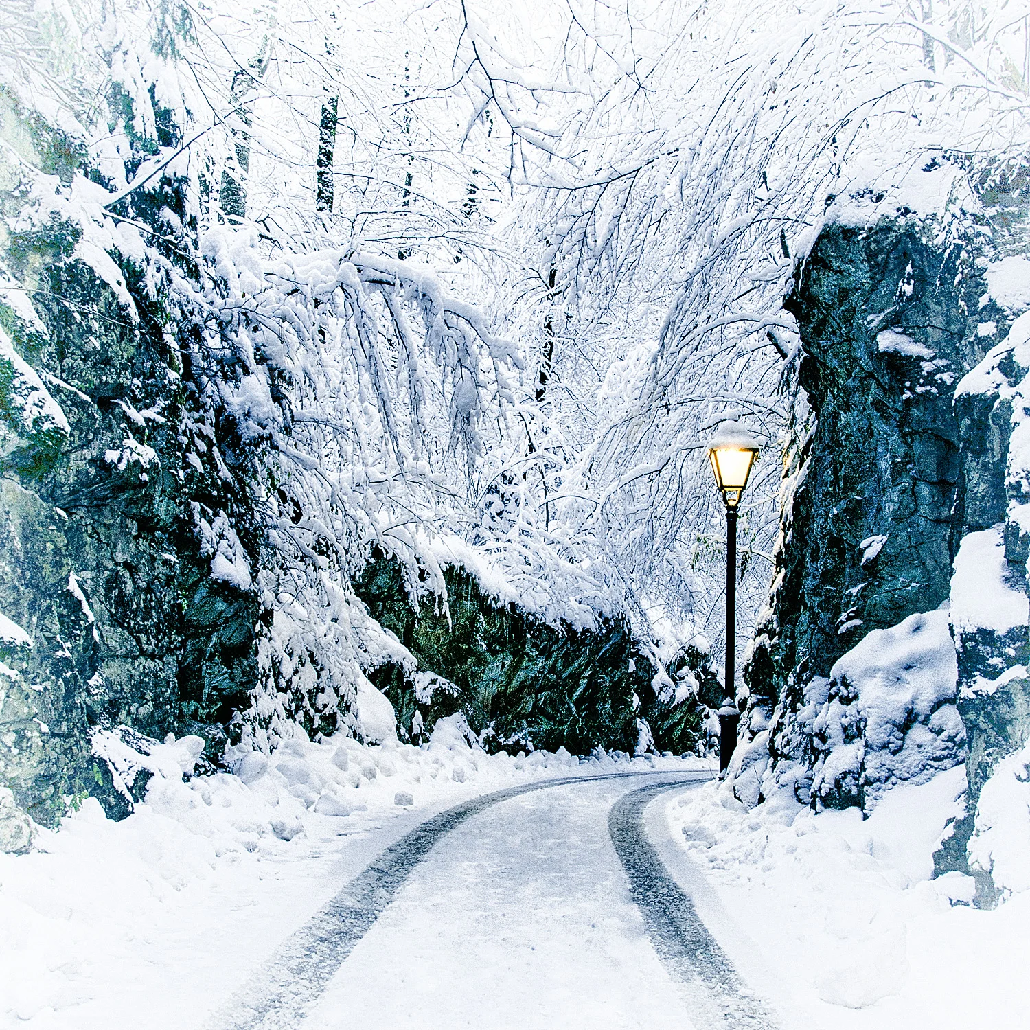 Path in snow.jpg