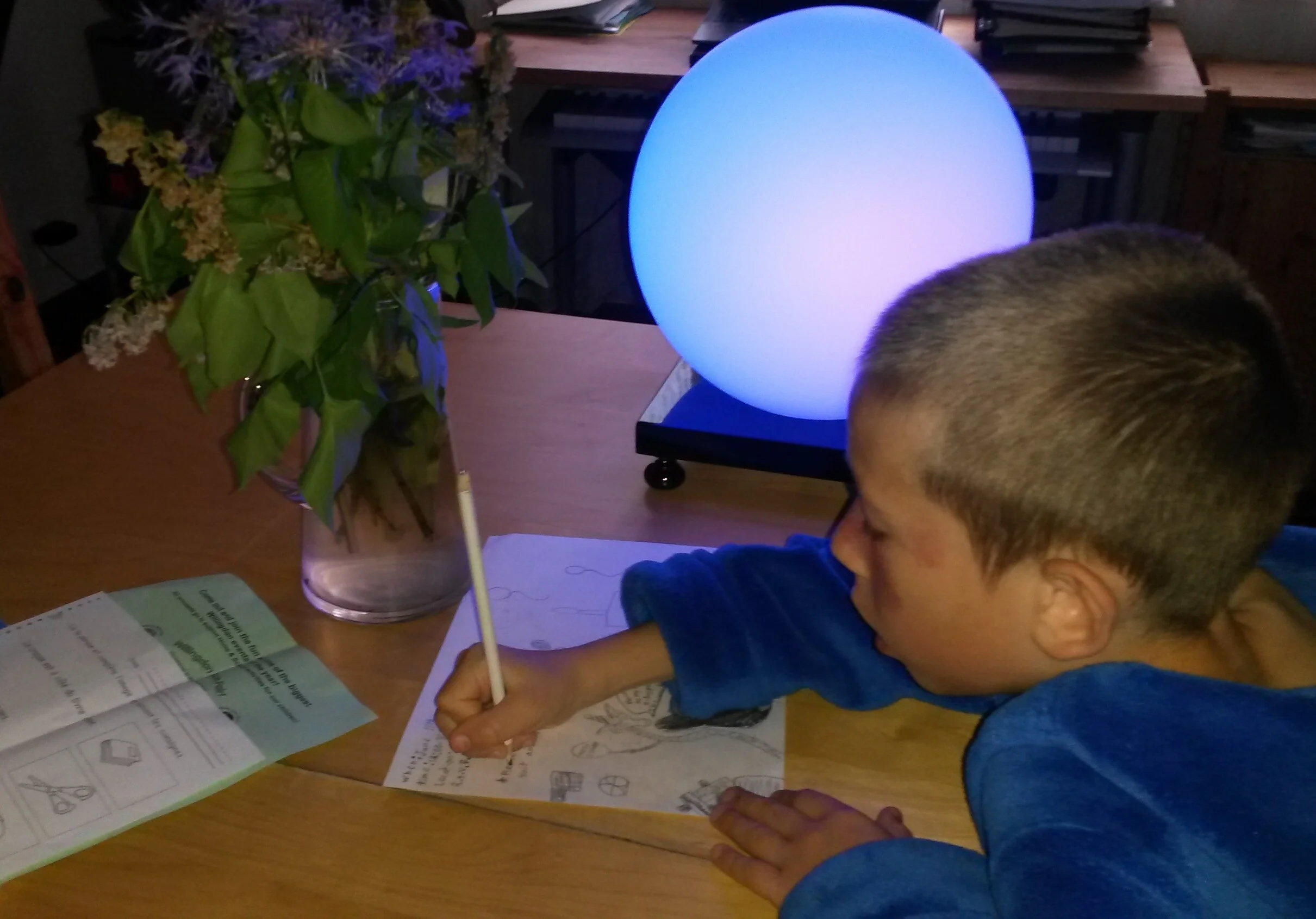 Stress Light Therapy Autism Behavior ASD Case Studies