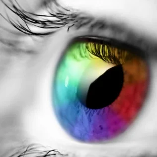 SESSION 1: VISION — How to perceive the vision that shapes your future. Click here.
