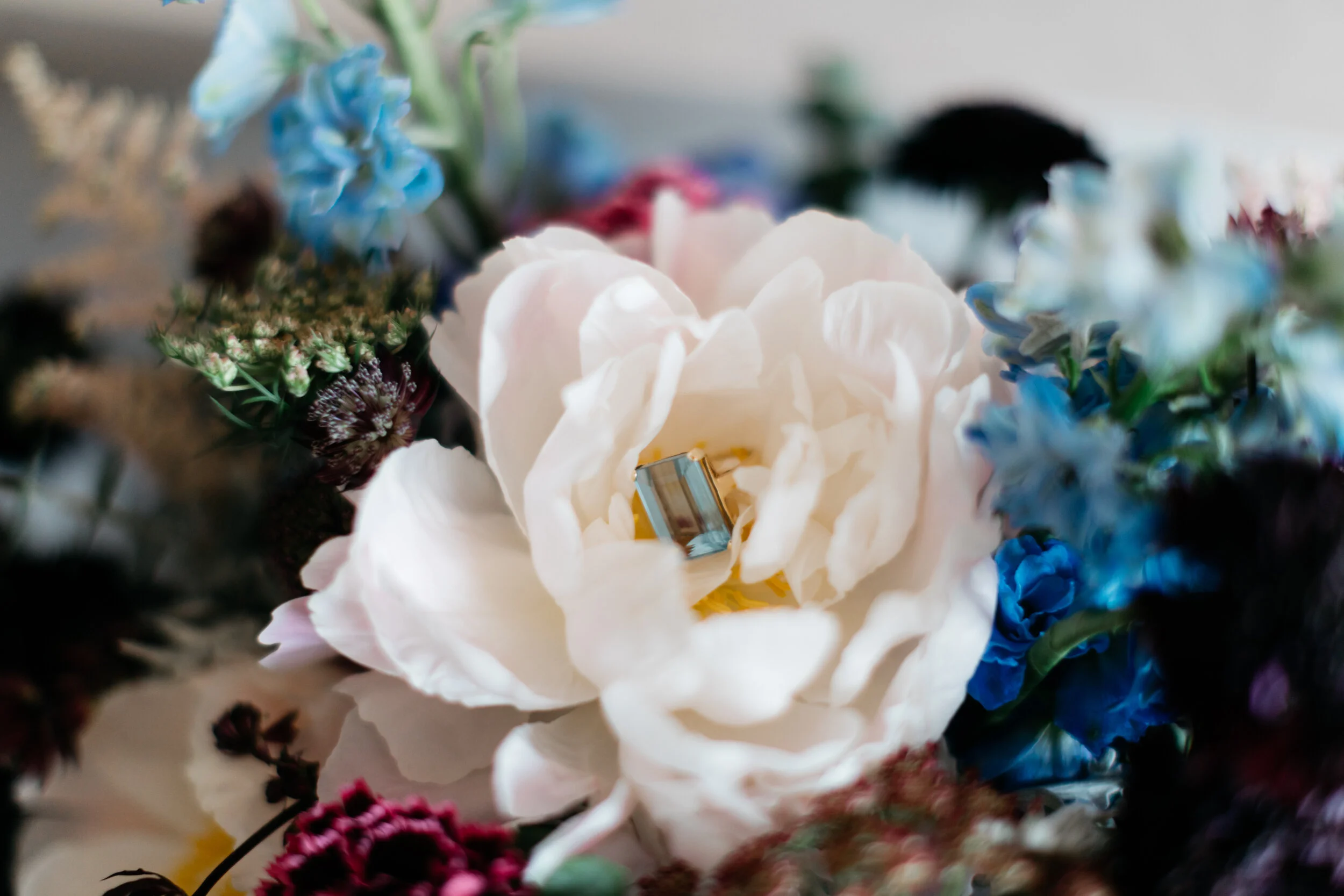   Sally O'Donnell Photography   