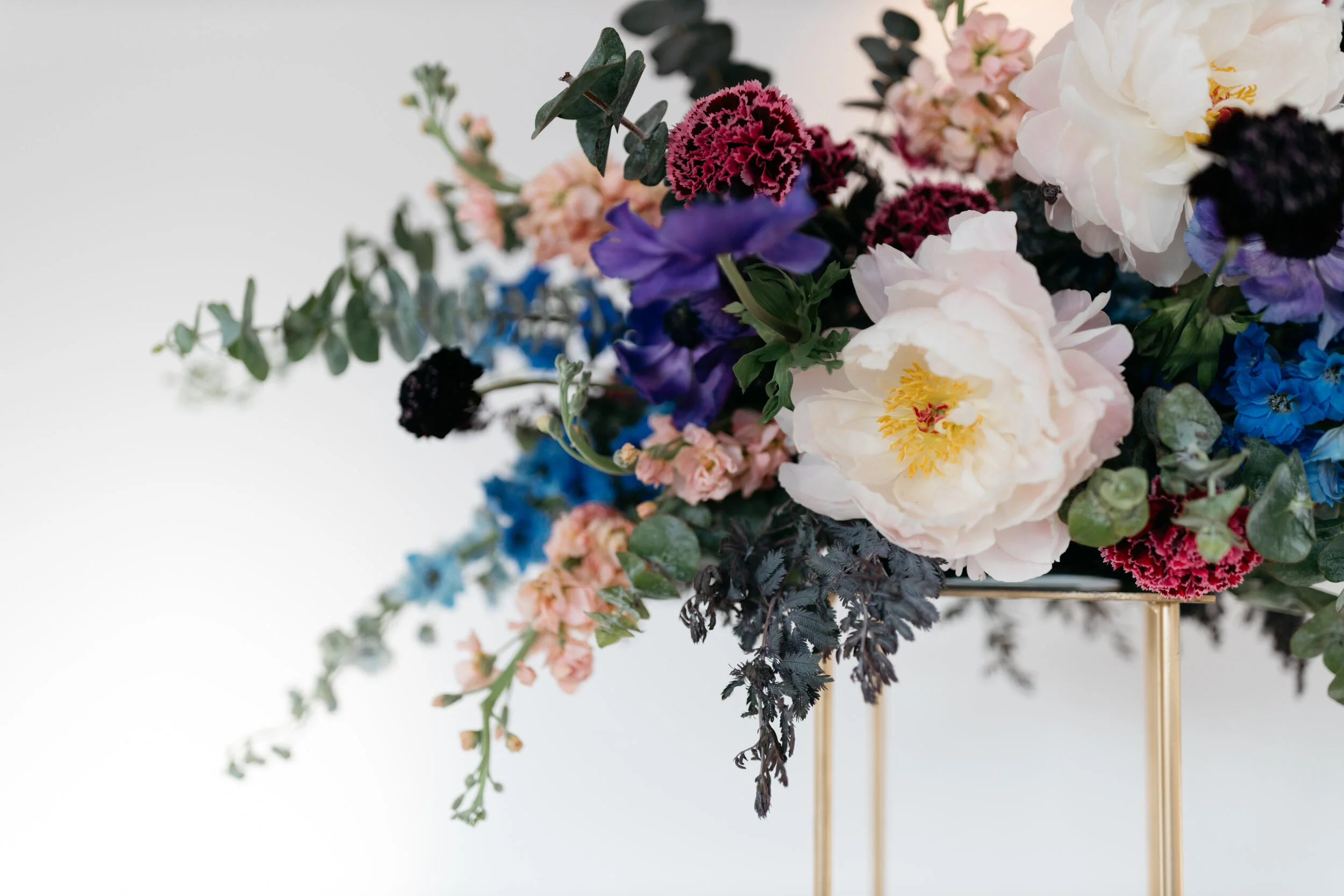   Sally O'Donnell Photography  