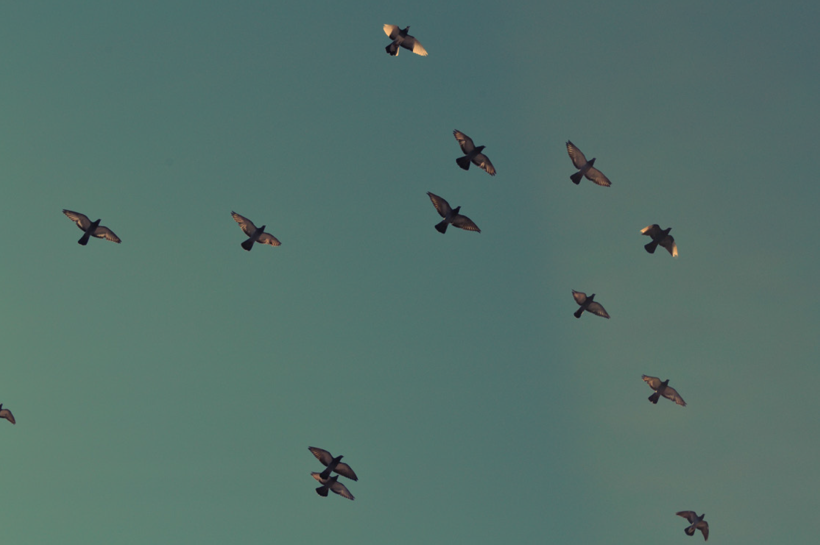 Screen Shot 2015-04-14 at 12.57.24 PM.png