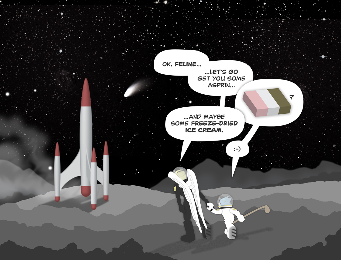 panel-14.jpg