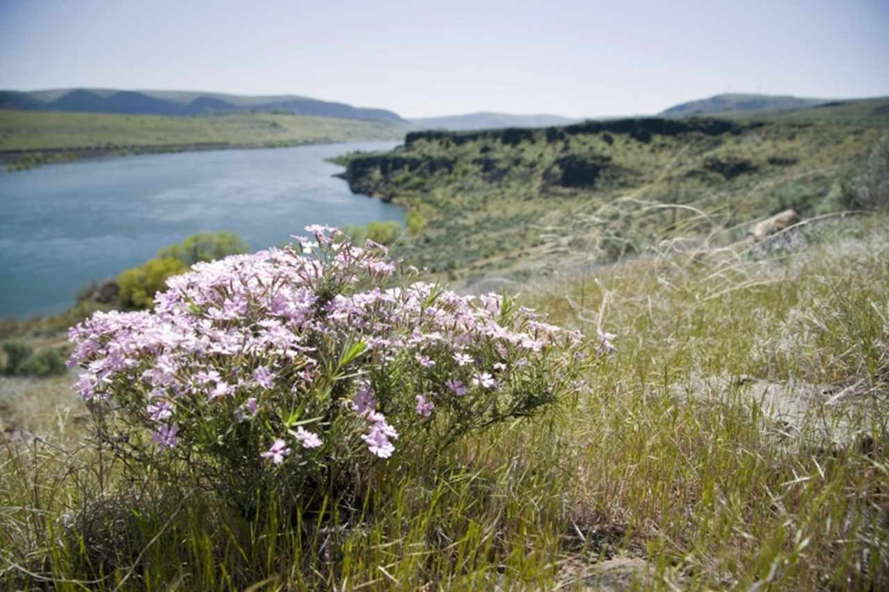 Ravenwing Ranch | Malaga, WA