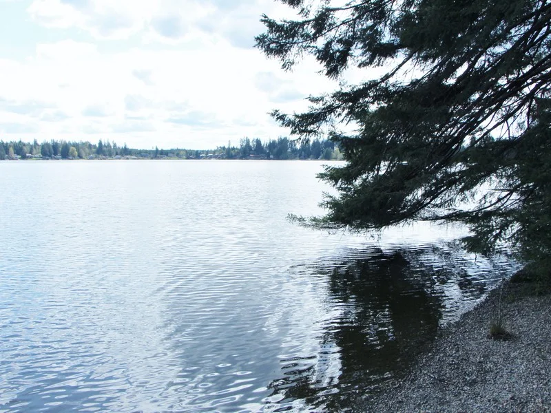 Lake Nahwatzel Waterfront — Team Vancour