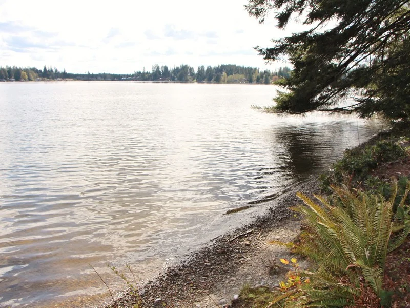 Lake Nahwatzel Waterfront — Team Vancour
