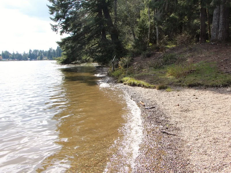 Lake Nahwatzel Waterfront — Team Vancour