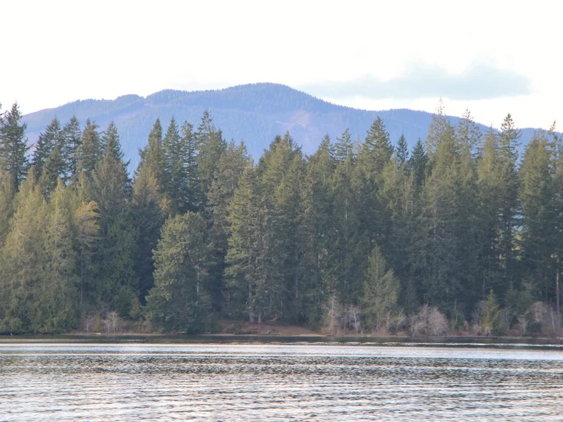 Lake Nahwatzel Waterfront — Team Vancour