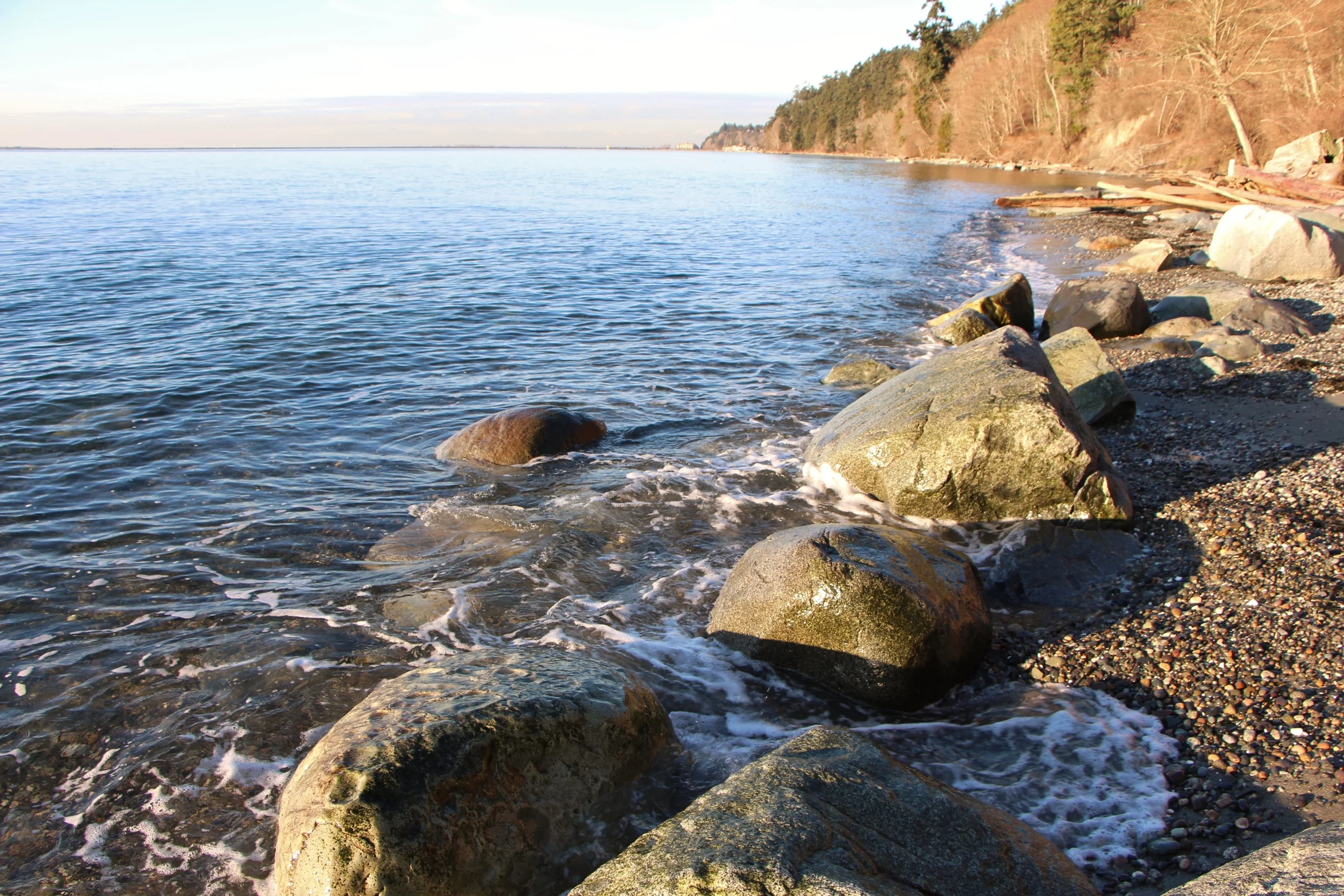 Point Roberts Waterfront — Team Vancour