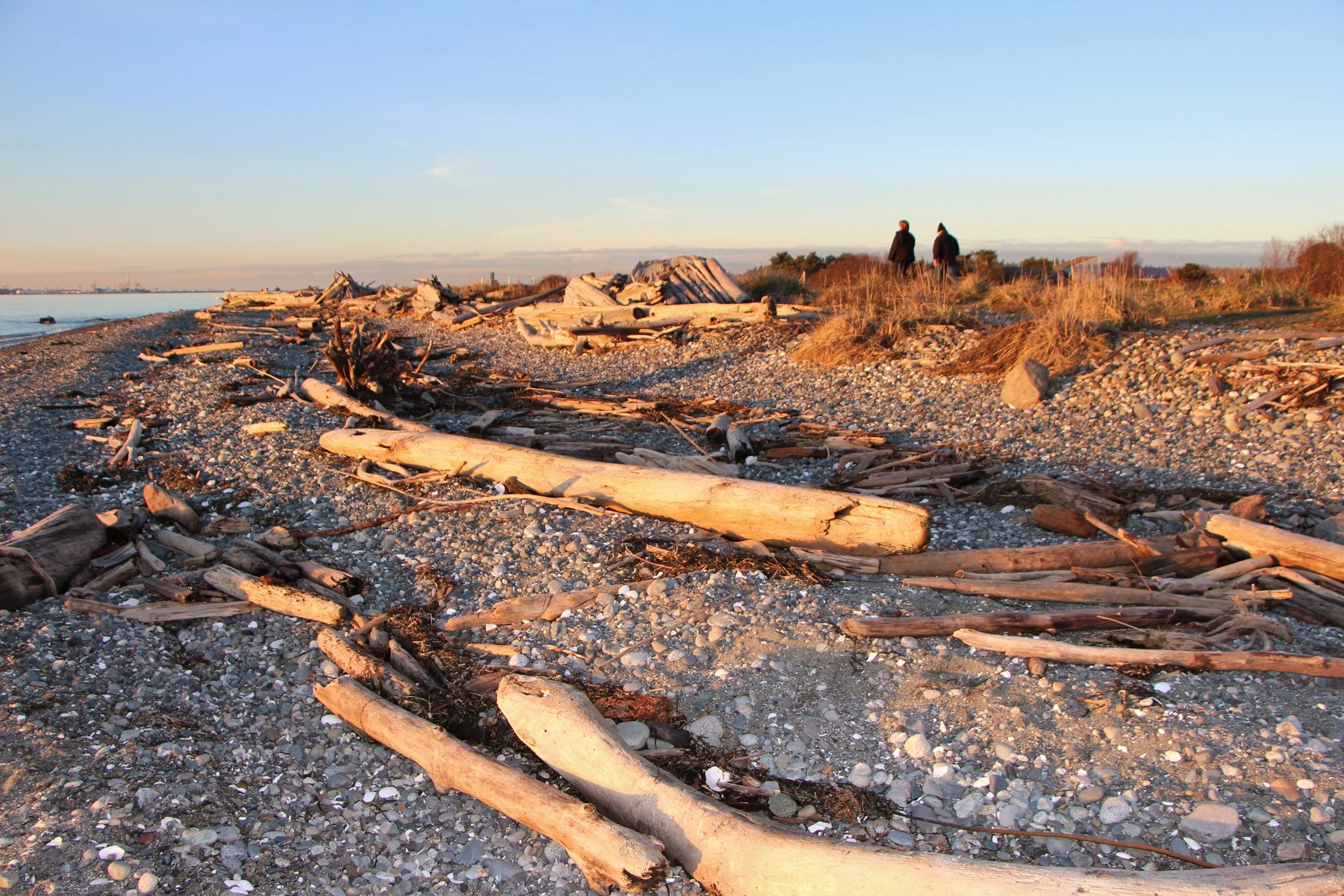 Point Roberts Waterfront — Team Vancour