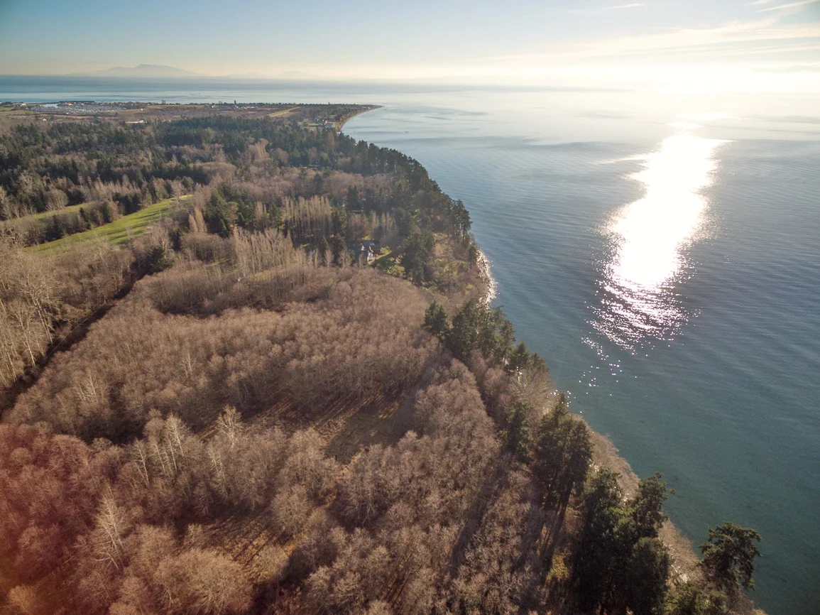 Point Roberts Waterfront — Team Vancour