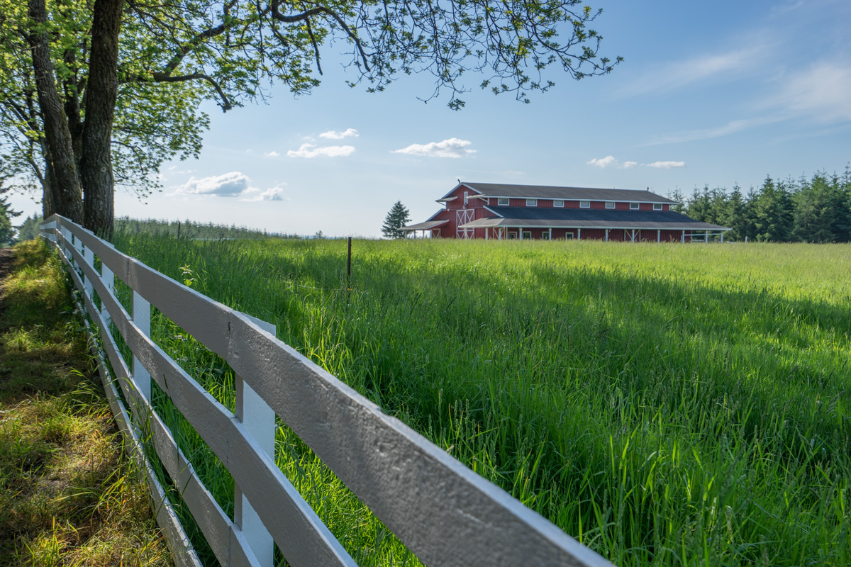 20150528-_DSC1261.jpg