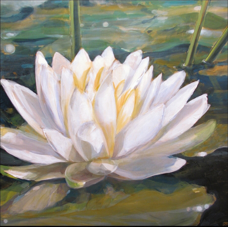 Lily+wht.jpg