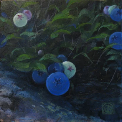 8blueberry patch.jpg