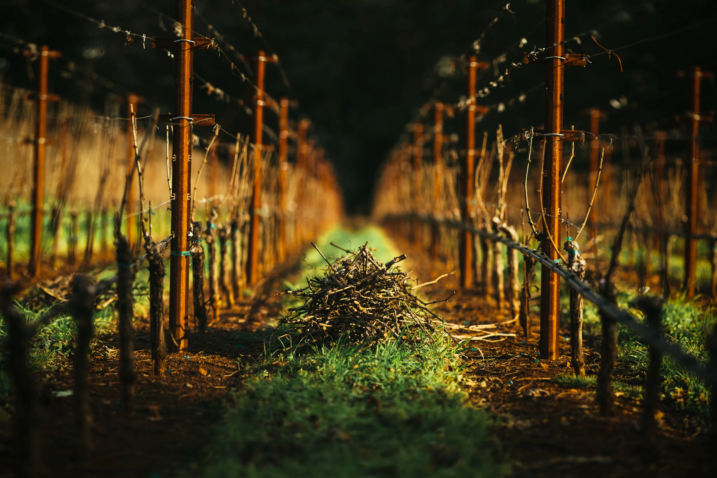 1C9A3947-Edit-2.jpg