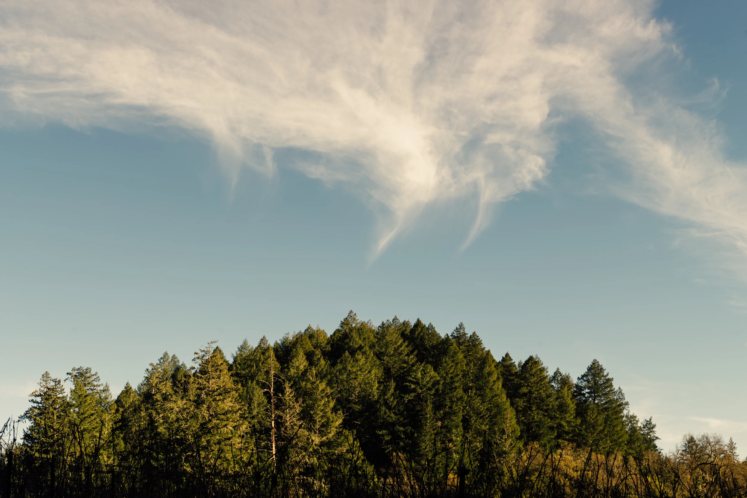 1C9A9248-Edit.jpg