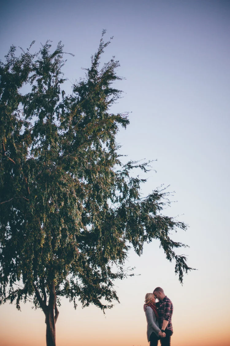 Tree.jpg