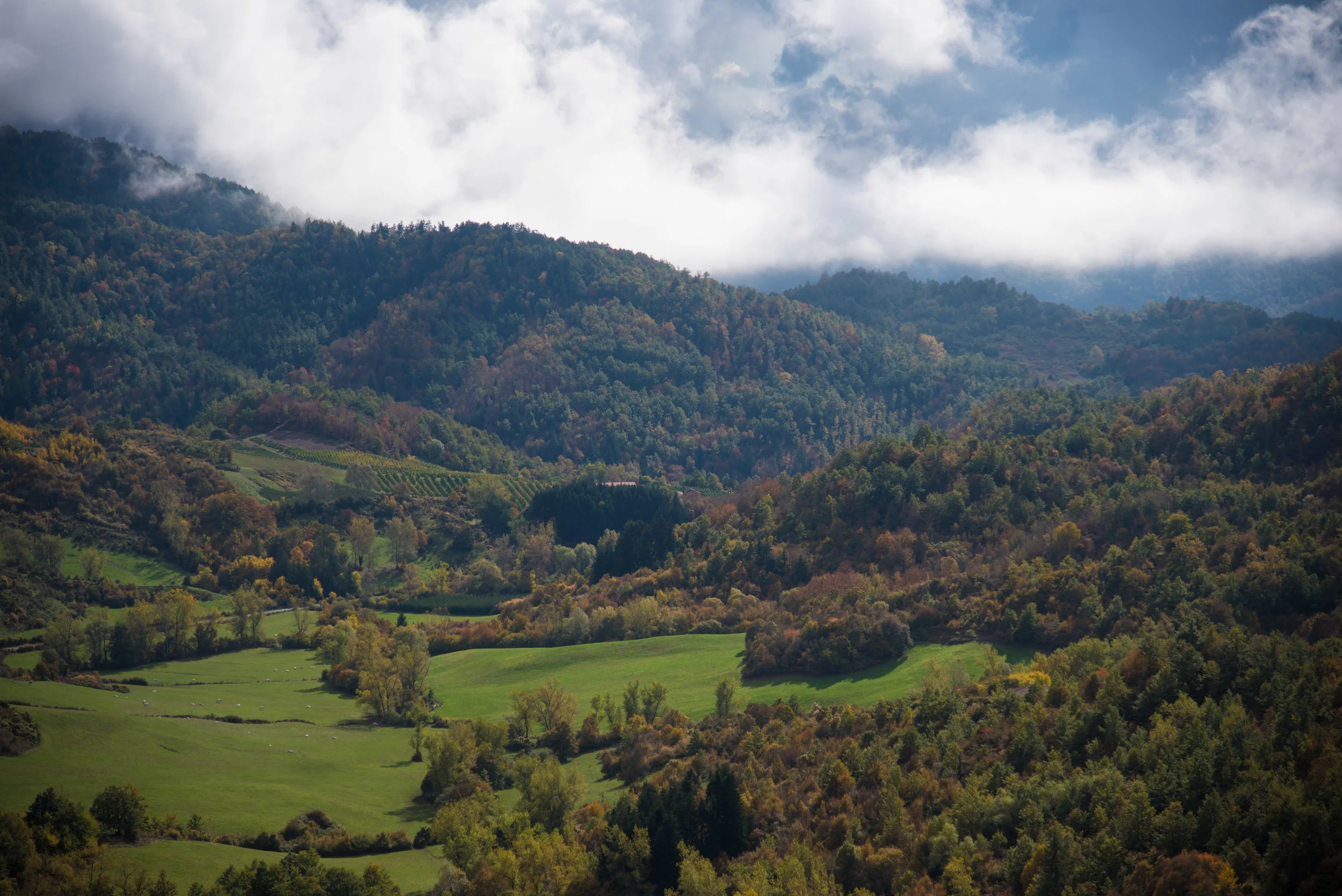 DSC_0361.jpg