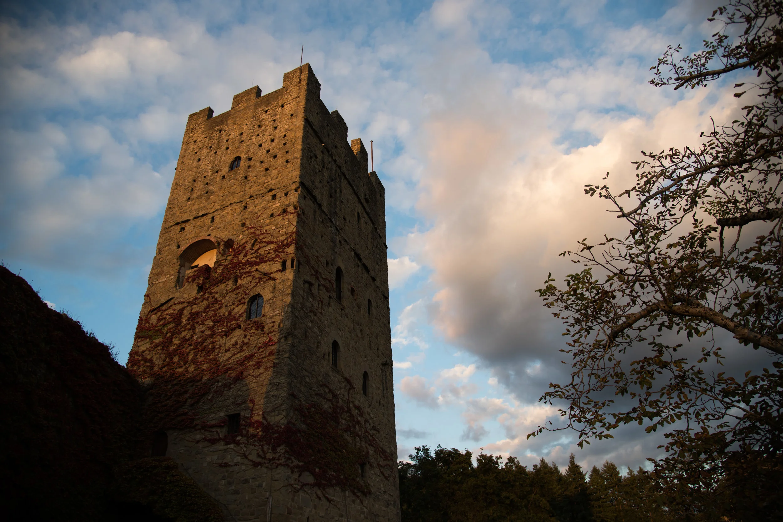 DSC_8415.jpg