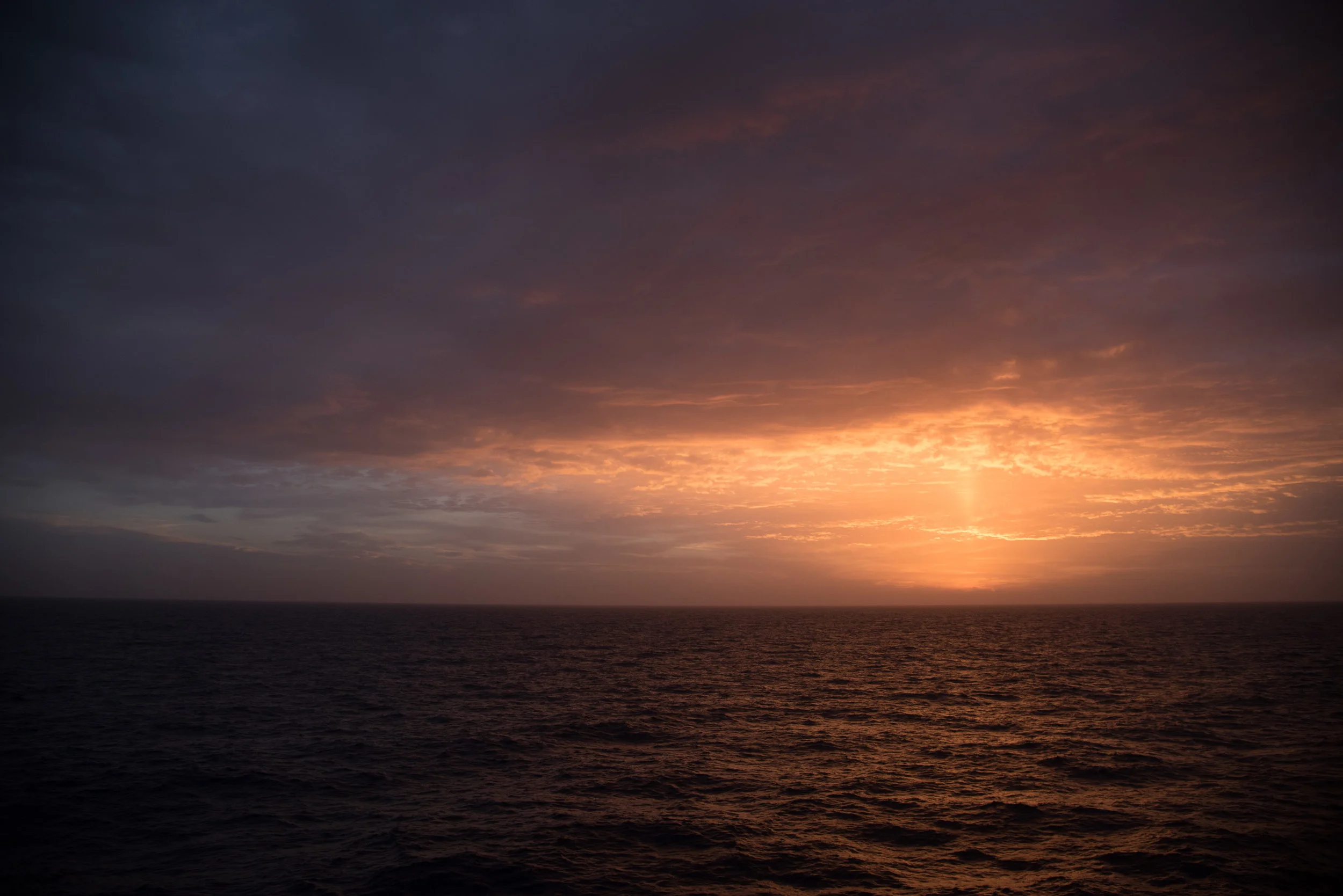 DSC_1787.jpg
