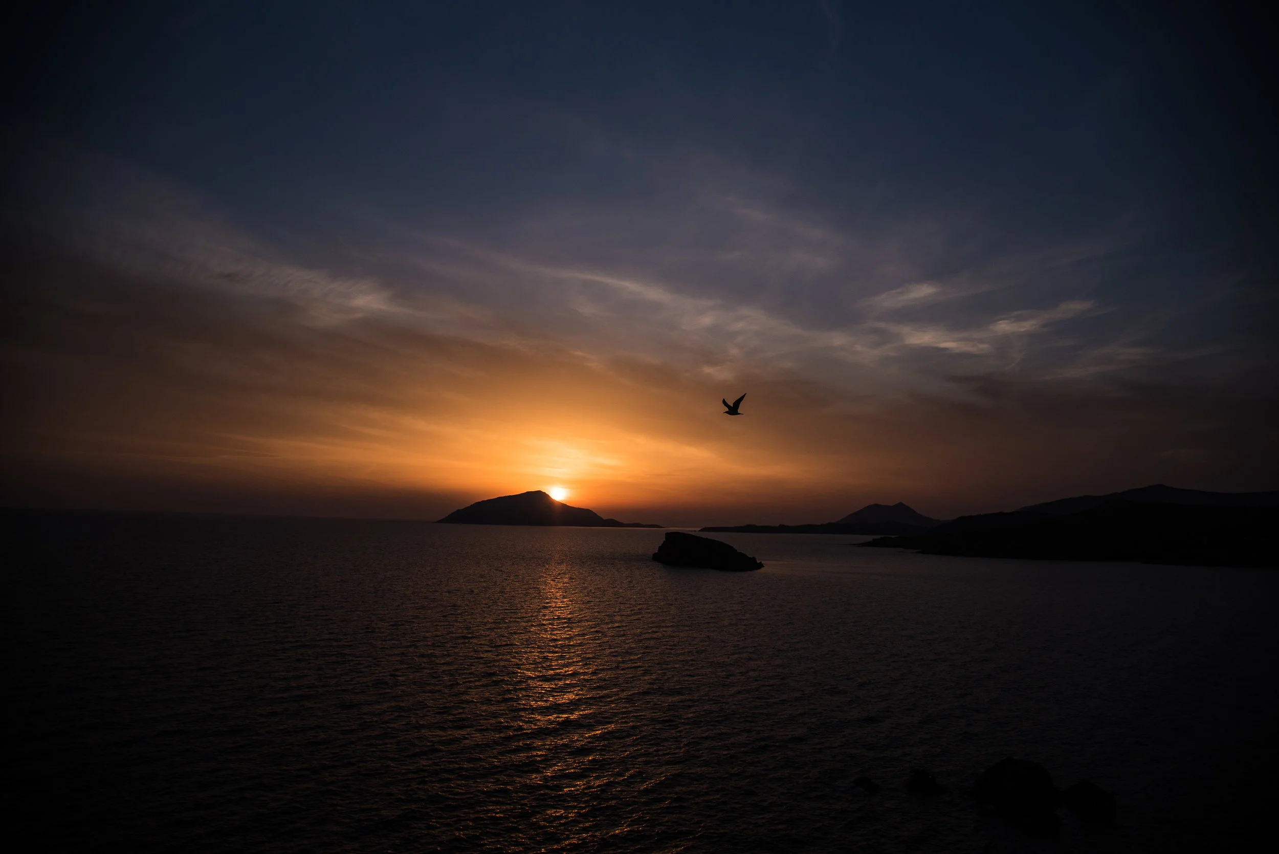 DSC_1040.jpg