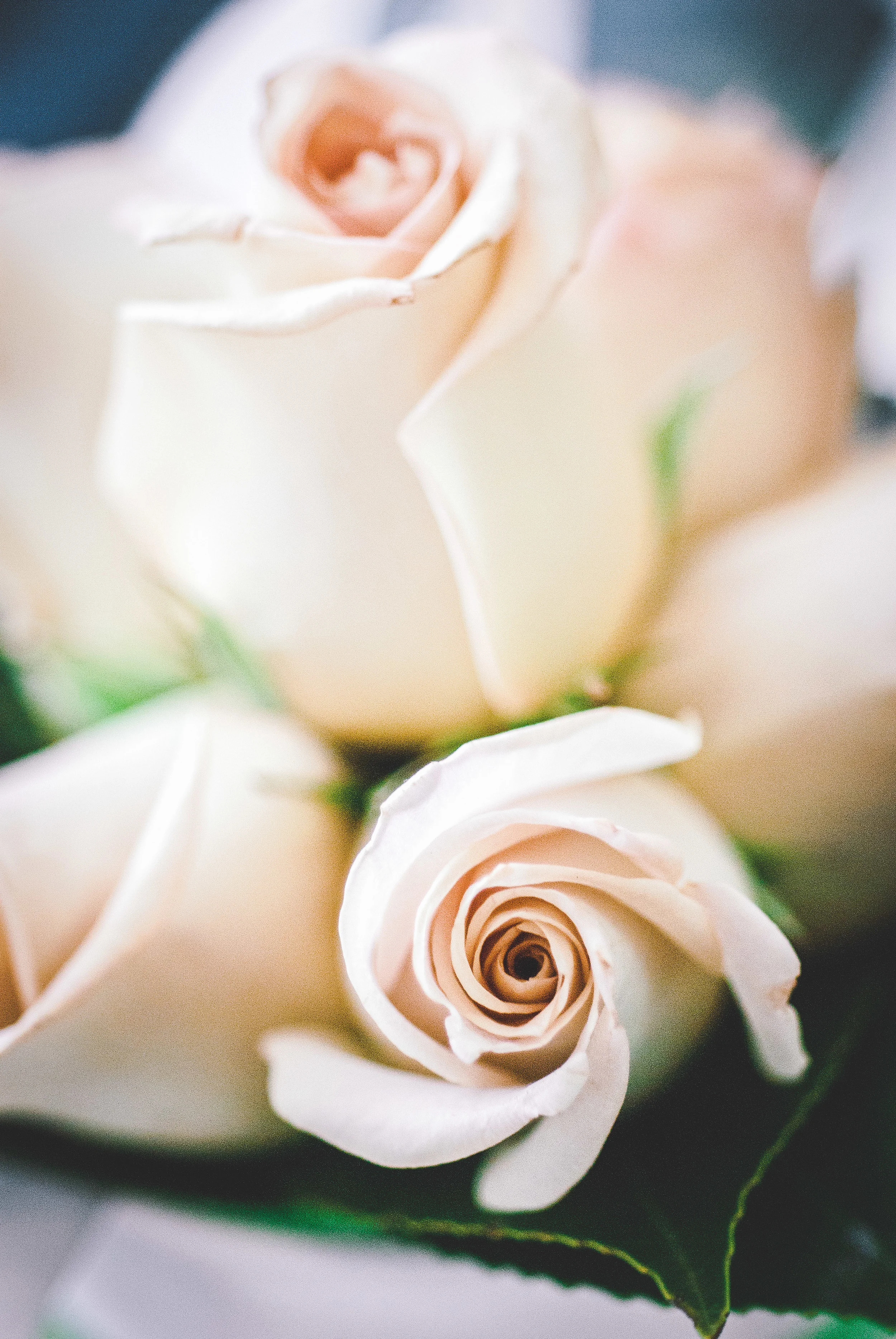 Seephoto-70.jpg