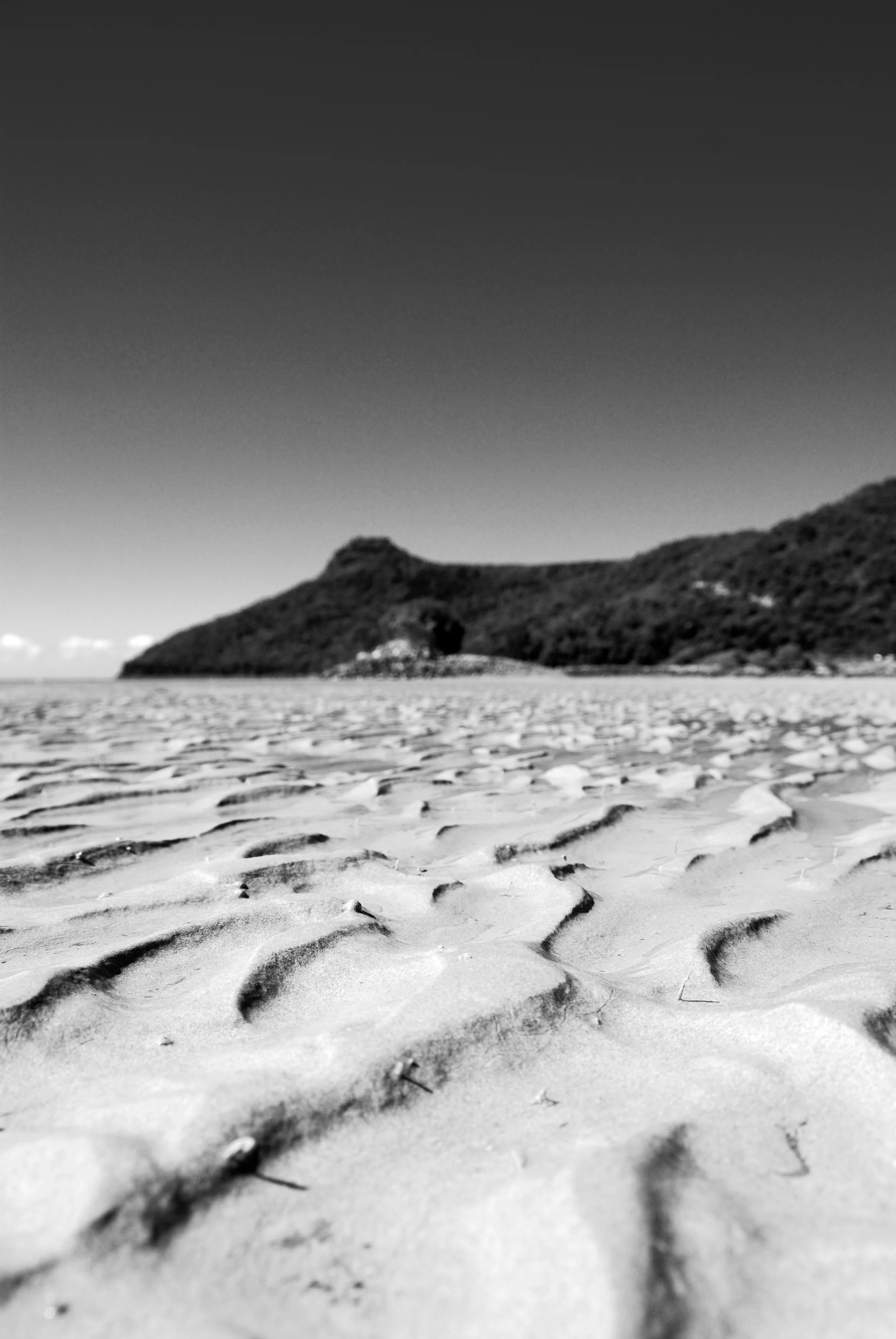 Hamilton island June 09 (47).jpg