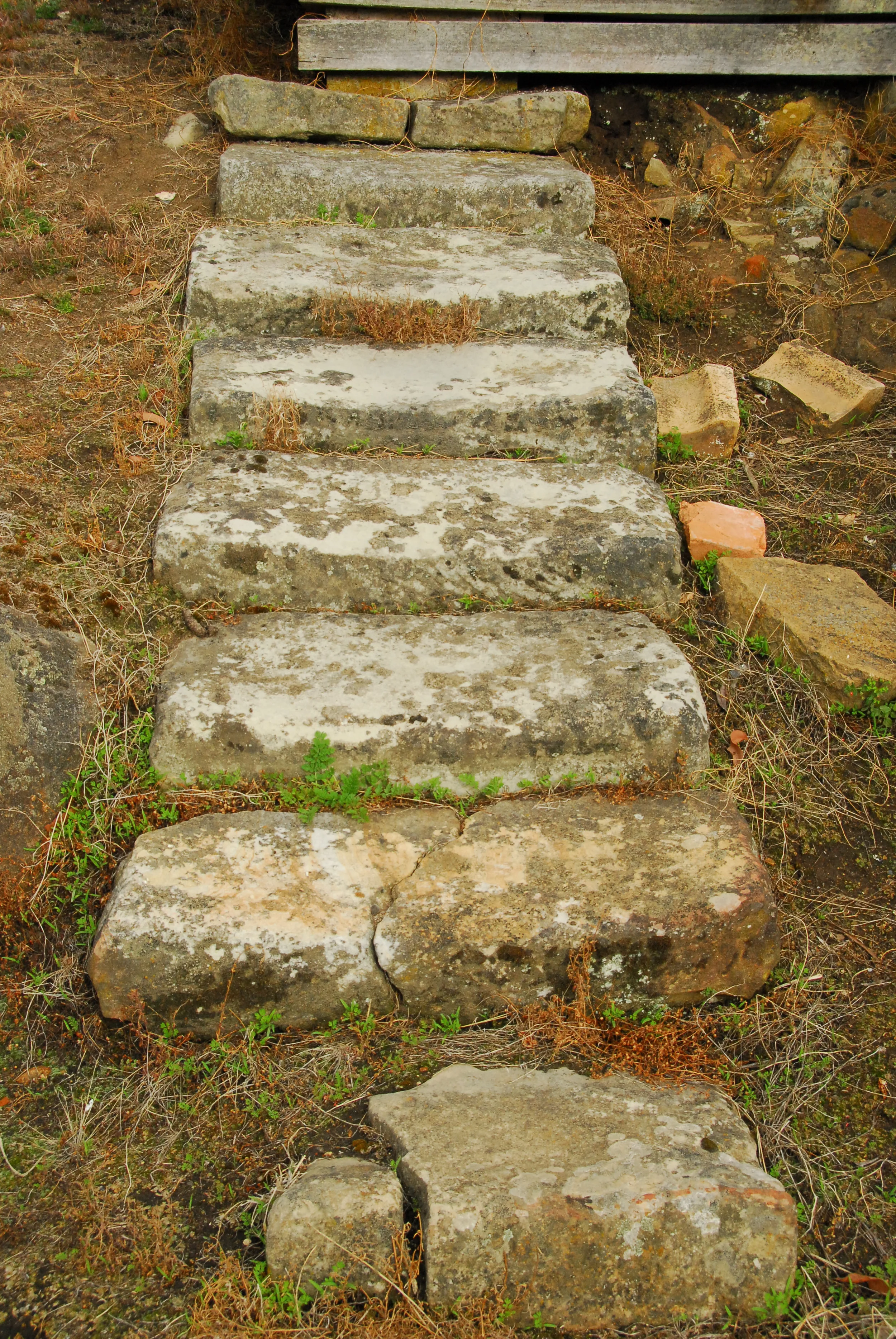 Seephoto-43.jpg