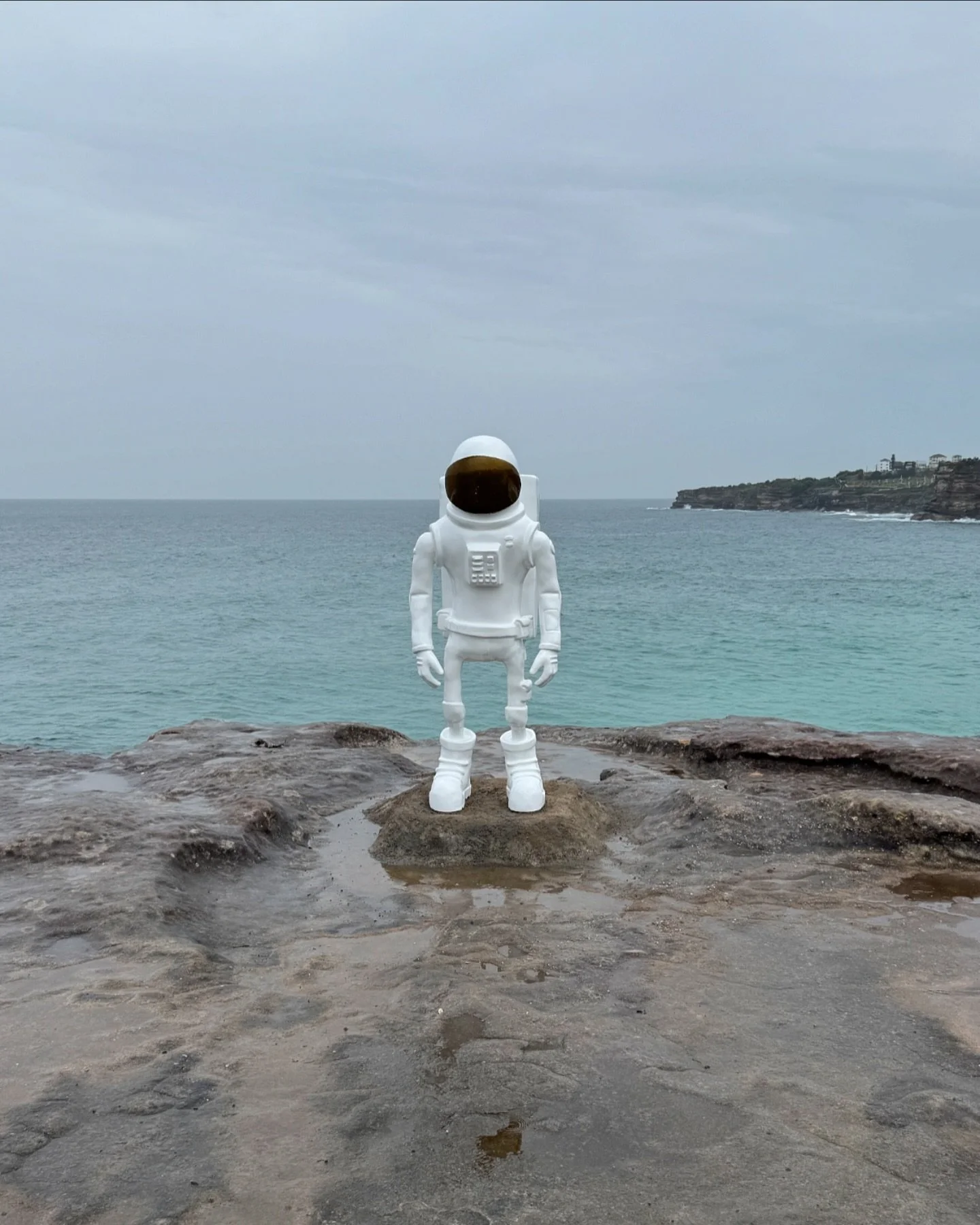 Sculpture by the Sea: modern art is confusing but oddly satisfying. Always fun the see what kind of sculptures line the coastal walk every year. The spaceman is my favourite 🧑‍🚀🚀 
.
#digitalart #procreate #australianwildlife #australianbirds #