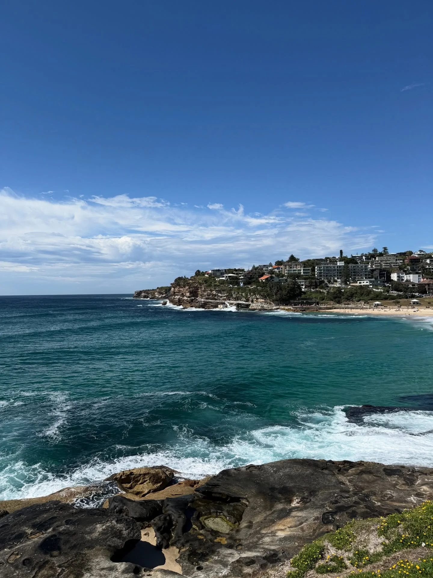 Photos from Wednesday morning&hellip; you know, the day that started as a super hot sunny day, but by lunchtime there was hail and gail force winds&hellip; and then sunny again&hellip; and then rainy again&hellip; Sydney weather needs therapy! 🤣 #br