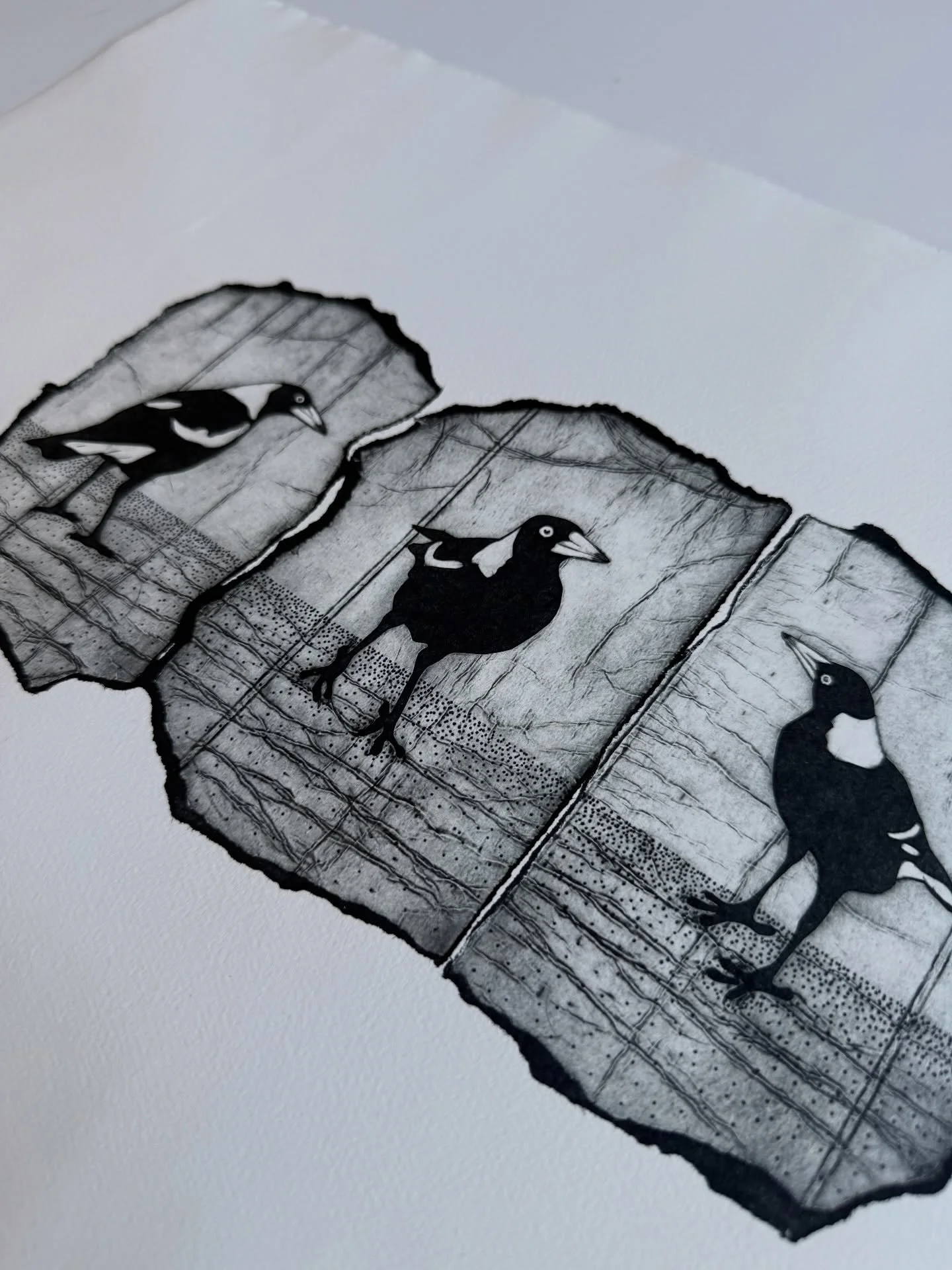 Really pleased to be a finalist in this year&rsquo;s Art@TheRowers exhibition at Mosman Rowers wirh my TetraPak print, Broken Chorus, a print made up of three separate plates brought together. It&rsquo;s an annual art prize that brings together paint