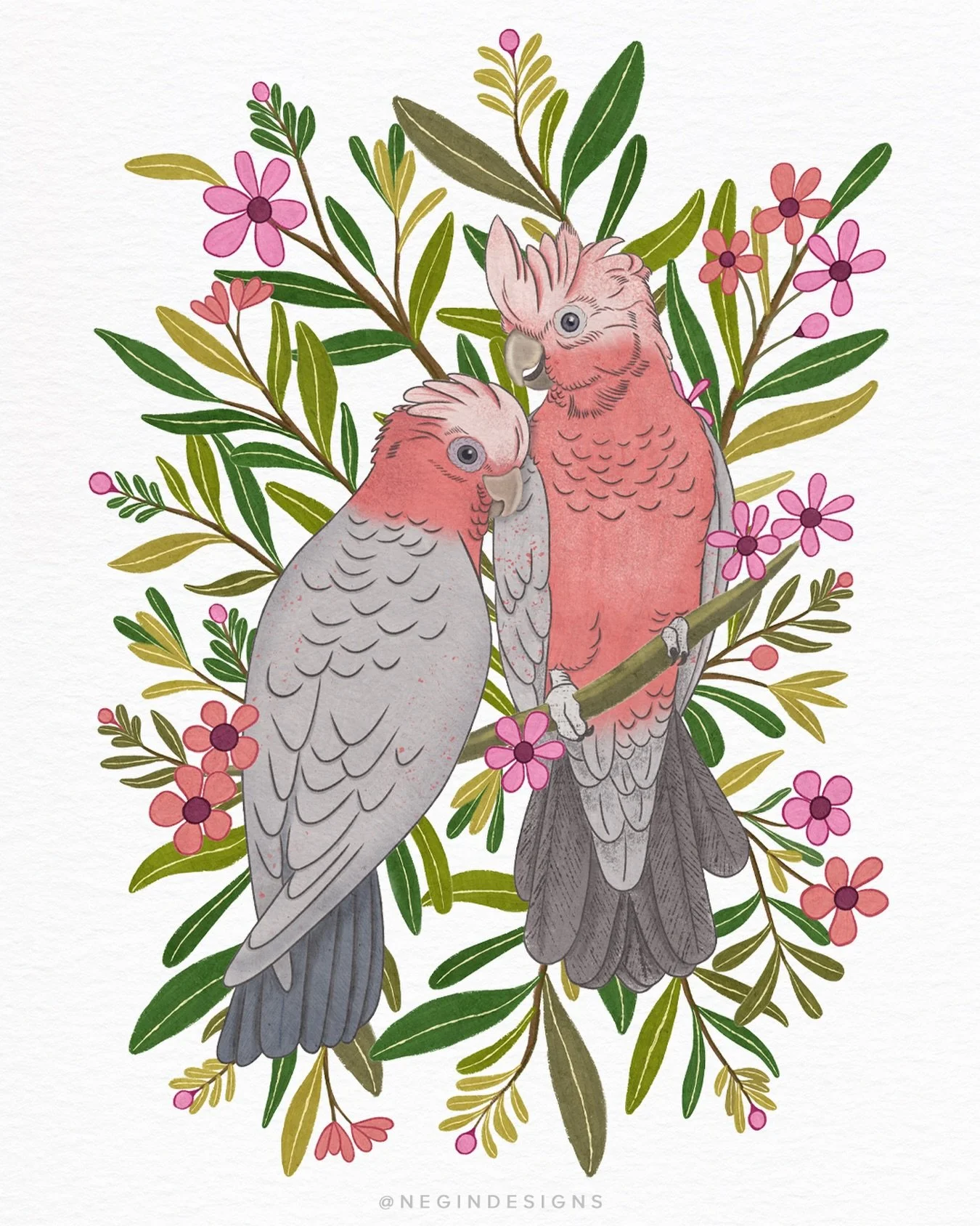 Two galahs absolutely not minding their own business 😜 I always think that galahs have the perfect mix of elegance and nonsense. This design is also the March feature in the @earthgreetings artist calendar, and you can also get it on tote bags and t