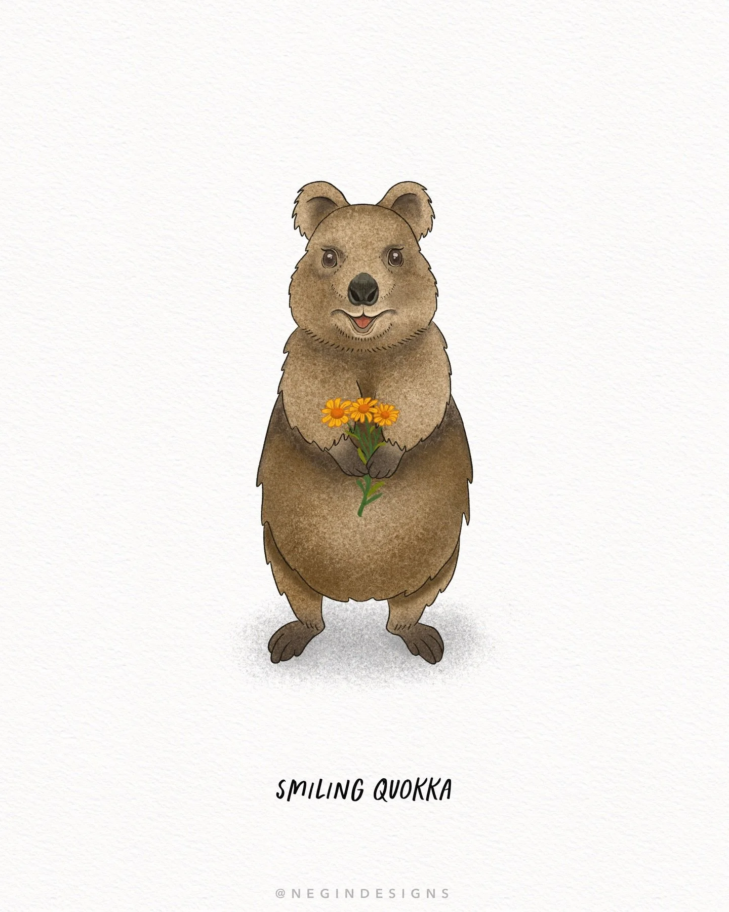 I mean, who doesn&rsquo;t love a smiling quokka holding daisies? 🌼

#illustration #digitalillustration #procreate #illustratorsofinstagram #australianartist