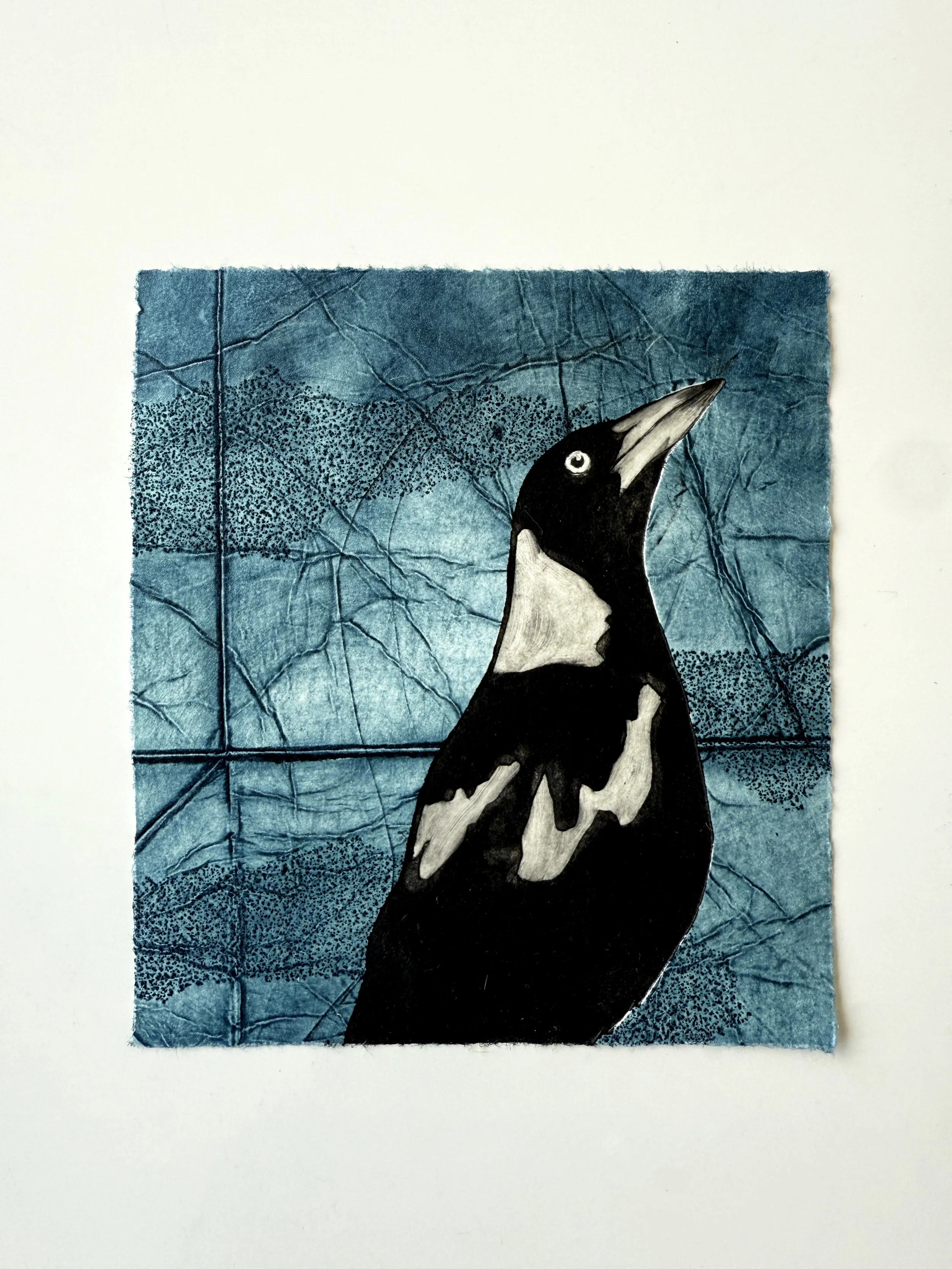 Magpie_TetraPak_5.jpg