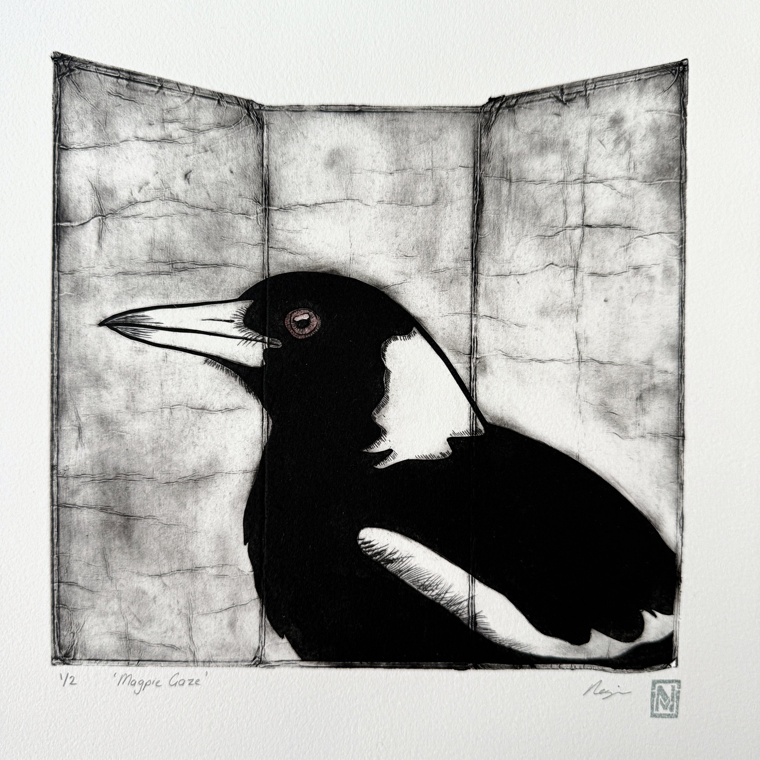 MagpieGaze4.jpg
